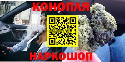 Альфа ПВП Будённовск