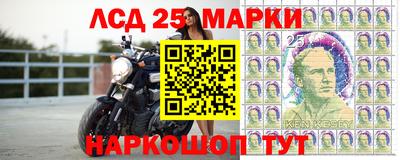 Альфа ПВП Будённовск